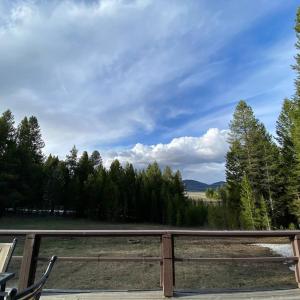House in the Woods - 20 min to YNP
