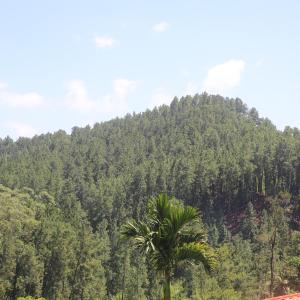 New Thilini Homestay Ella