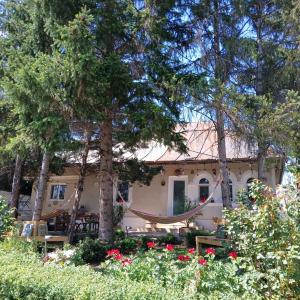 Casa de Vacanta Nora