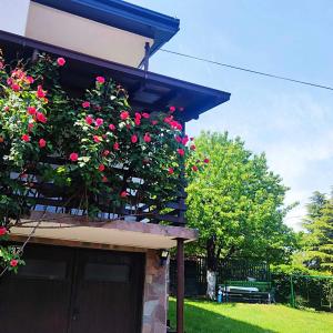 ZNK Family House