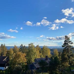 Family-Friendly Villa in Oslo - Holmenkollen