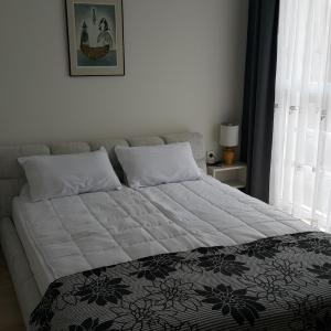 Kraybrezhna Apartment