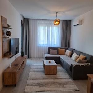 Violin Apartment