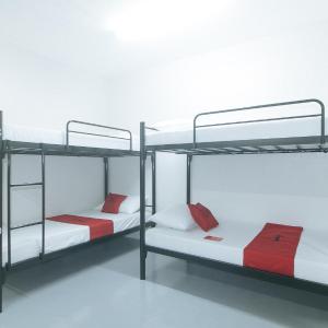 RedDoorz at Qhouzz near PUP