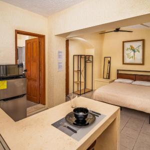 Private Terrace Suite with Park View Casa Jurel