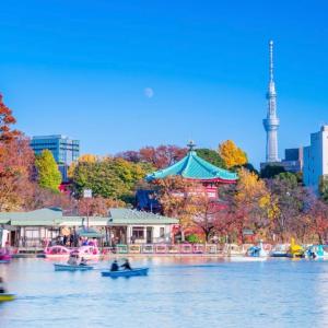 Alo BnB 1 - Near UENO, AKIHABARA, SENSOJI, TOKYO SKY TREE - Self check-in