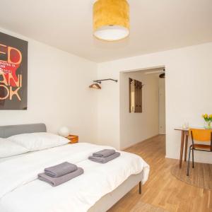 Central Studio Apartment with free BaselCard - Munch