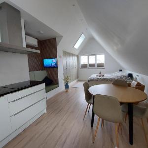 Comfort Apartment Hoofddorp near Amsterdam Schiphol