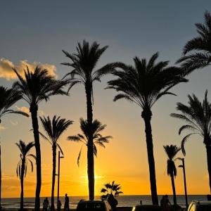 Las Americas Front Line