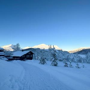 Relaxing Mountain Cabin In Scenic Surroundings
