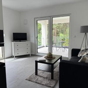 Living-Apartment-mit-Kamin-und-Terrasse
