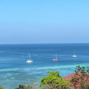 The view Hostel