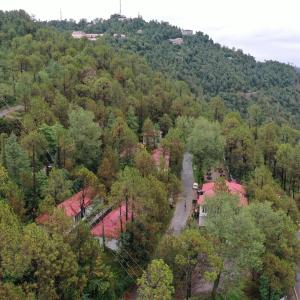 Blue Pines Resort & Restaurant, Murree