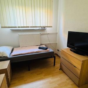 Basement apartment at Milaneo