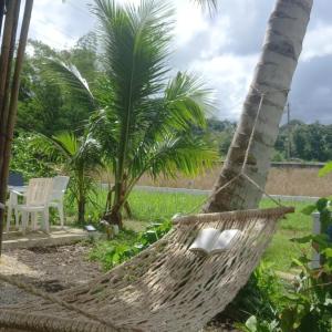 Bamboo Garden Tourist Inn