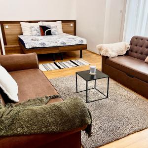 Ground floor apartments in the centre of the city