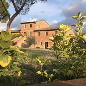 Tuscany Heritage Exclusive - La Ceppa