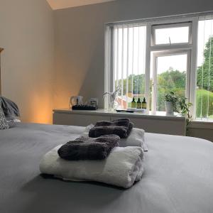 Bright and Cozy Private Room