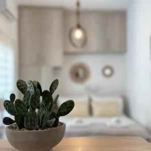 "Calm Joy & J" - Joy