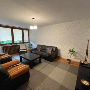Lovely entire apartment in Cugir