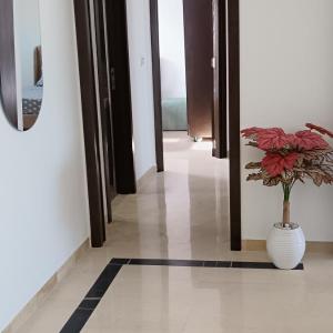 Lovely appartment Tunisia, Ain Zaghouan
