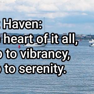 Coast Haven