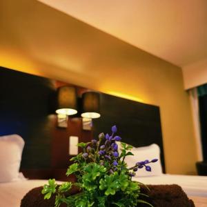 KK City Centre SCSP 2Pax Homey Suites 亚庇市中心民宿