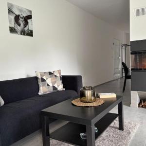 Living Apartment Trachenberge 2
