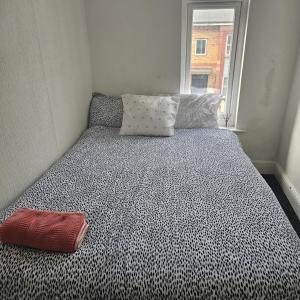 Salus bed 4 Liverpool City