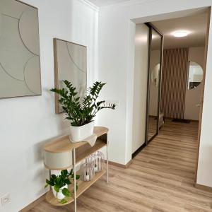Die Harmonie - Modern Apartment near City Center with Free Private Parking