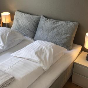 Huset ved springvandet