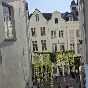 Royal sleeping Brussels