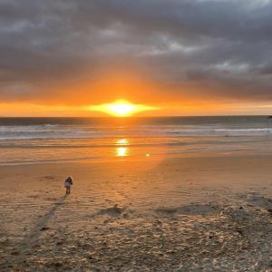 Portrush Beach Front First Floor Apartment