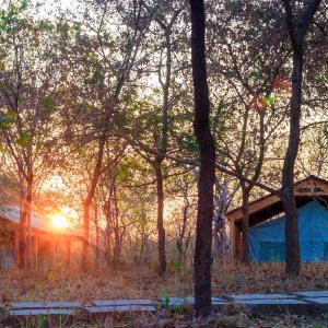 Daga Tented Camp