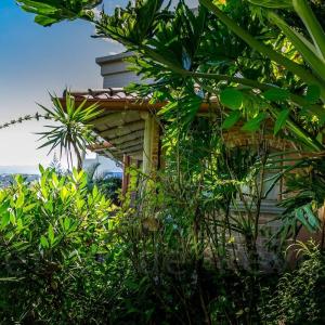 El Cabanon del Higuerón