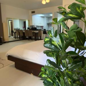 Luxury Studio in Murjan 2, JBR