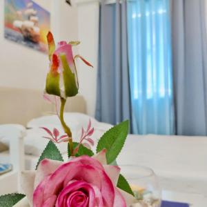 Studio Marine Theme by Emman & Jovy Staycation