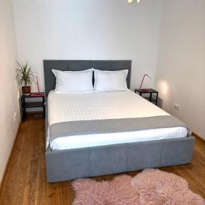 Apartment Dzelzavas 19/3