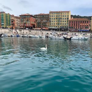 Super cozy studio - Nice Port - Wi-Fi, Clim et Tram