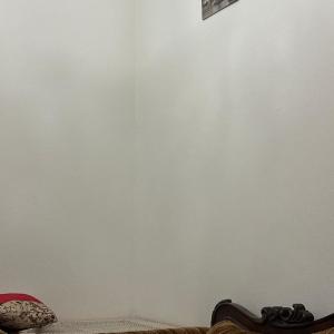 Quit & calm appartement beach view