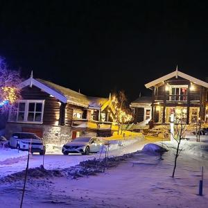 Saana Aurora Panorama Lodge