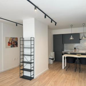 Regina's Modern Two-Bedroom Apartment in Center