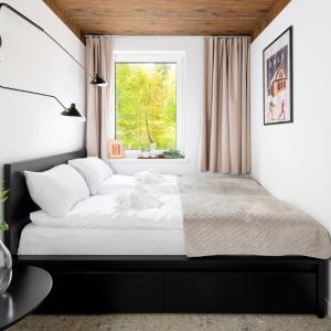 W Naturze - Apartament dla Aktywnych z Widokiem na Las, Szlaki, Rowery, Biegówki, blisko Jakuszyc i Czech