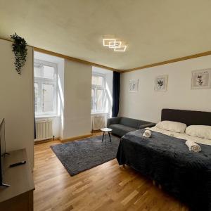 Big Space Apartment