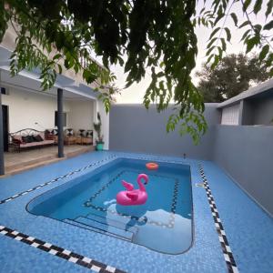 oasis Cozy Suite