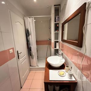 Appartements à Toulouse - Pierrotin - PIETHOTLS00 MAE-7471