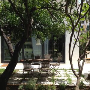 Nel Giardino degli Agrumi