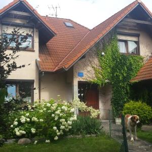 Apartament Leśna