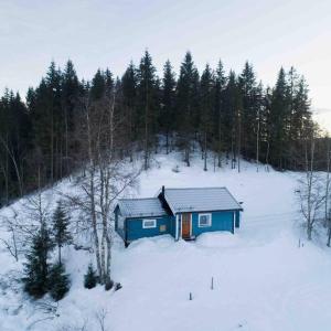 The Blue Cabin