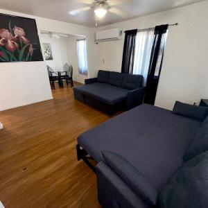 Flowers Apt 5 Min Walk to Downtown - Free Parking